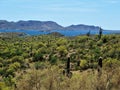Arizona landscape and manmade lake Royalty Free Stock Photo