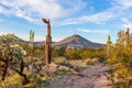 Sonoran desert landscape in Phoenix, Arizona Royalty Free Stock Photo