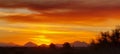 Sonoran Desert Majestic SUNSET Vibrant Fire Red Orange Sky Scene Nature Photography