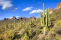 Sonoran Desert