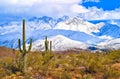 Sonoran Desert Royalty Free Stock Photo