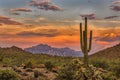 Sonoran Sunset near Phoenix, Arizona Royalty Free Stock Photo