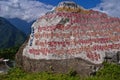 Buddhist prayer written over a rock Royalty Free Stock Photo