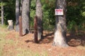 Posted No Trespassing Sign On A Tree Royalty Free Stock Photo