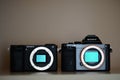 Sony A7 and A6400 mirrorless camera on a shelf Royalty Free Stock Photo