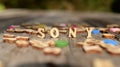 Sony. Wooden letters on a gray blurred background