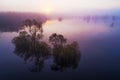 Soomaa National Park during a autumnal flood also known as the Fifth season in a foggy morning in Estonian nature.