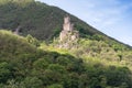 Sooneck Castle on the river Rhine, viewed from the side, lit by bright sunlight on summer\'s day