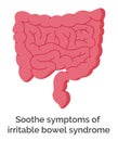 Soothe Symptoms of Irritable Bowel Syndrome Vector