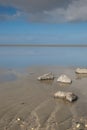 A soothing picture of the wadden sea at paesens moddergat, big rock in foreground, sea and sky