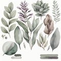 Soothing Sage Watercolor Clipart for Invitations and Scrapbooking.