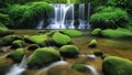 The soothing sounds of a cascading waterfall. The gentle flow of the waterfall, surrounded by lush greenery