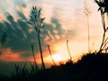 Soothing Sunrise captured from ground level with beautiful colours in the sky