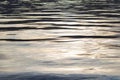 Water Patterns, Silver Ripples At Sunset Royalty Free Stock Photo