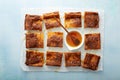 Sopapilla cheesecake bars with cinnamon drizzled with honey Royalty Free Stock Photo