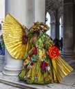 Sophisticate Disguise - Venice Carnival 2014 Royalty Free Stock Photo