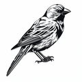 Sophisticated Black And White Bird Illustrations With Gothic And Renaissance Influences