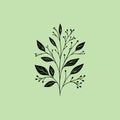 Sophisticated Botanical Line Art, Vector Logo Design