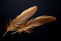 Sophisticated design Golden feathers on black background, perfect for branding