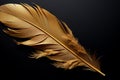 Sophisticated design Golden feathers on black background, perfect for branding