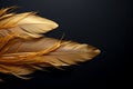 Sophisticated design Golden feathers on black background, perfect for branding