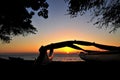 Sophisticated elegant orange sunset in Maui Hawaii with palm tree Royalty Free Stock Photo