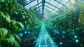 Sophisticated 6G sensors p throughout a greenhouse track temperature humidity and light levels allowing for precise
