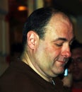 Sopranos star James Gandolfini Royalty Free Stock Photo