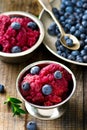 Sorbet from bilberry Royalty Free Stock Photo