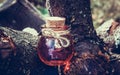 Sorcery potion in the forest. Love Potion.