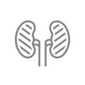 Sore human kidneys line icon. Renal cysts, kidney stones, ureteral stone symbol