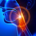 Sore throat - Flu / Cold / Stuck throat Royalty Free Stock Photo