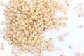 Sorghum Grains Royalty Free Stock Photo