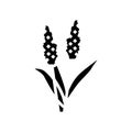 sorghum plant food glyph icon vector illustration