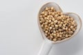 Sorghum Seeds on a Heart Shaped Spoon