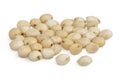 Sorghum seeds isolated on white background with full depth of field. Royalty Free Stock Photo