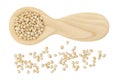 Sorghum seeds in wooden spoon isolated on white background. Top view. Flat lay. Royalty Free Stock Photo