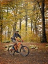 MTB boy in the beech forest.