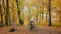 MTB boy in the beech forest.