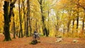 MTB boy in the beech forest.