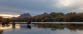 Sorrel chestnut wild horse stallion walking at sunset in the Salt River near Mesa Arizona USA Royalty Free Stock Photo