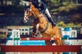 A sorrel horse jumps over a high barrier, participating in jumping competitions