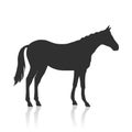 Sorrel Horse Logo