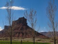 Three Trees in Professor Valley Royalty Free Stock Photo