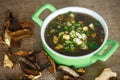 Sorrel soup with dried mushrooms Royalty Free Stock Photo