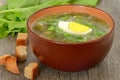Sorrel soup with egg