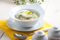 Sorrel soup with egg in white bowl Royalty Free Stock Photo