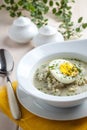 Sorrel soup with egg in white bowl Royalty Free Stock Photo