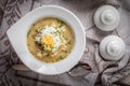 Sorrel soup with egg in white bowl. Royalty Free Stock Photo