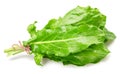 Sorrels vegetable leaves isolated on white background Royalty Free Stock Photo